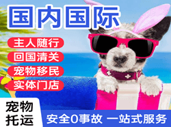 海浪航空快递国际宠物托运 【国